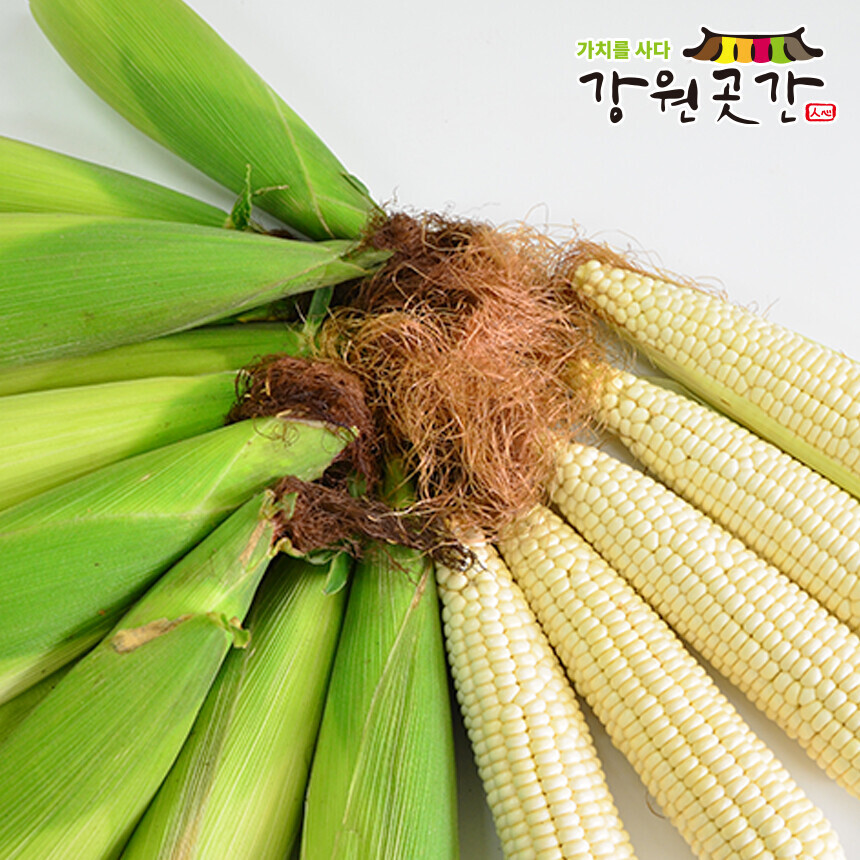 [영월] 강원도 영월 냉동 미백2호 찰옥수수 10개입 20개입 30개입 - 강원곳간.com
