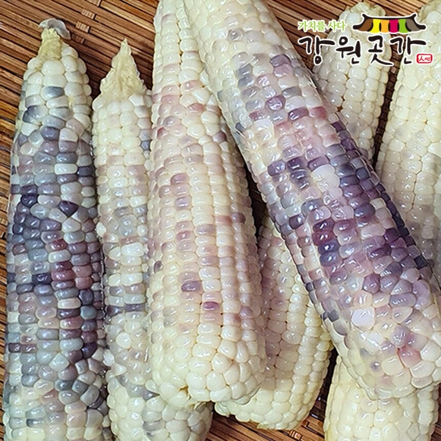 [영월] 강원도 영월 냉동 미백2호 찰옥수수 10개입 20개입 30개입 - 강원곳간.com
