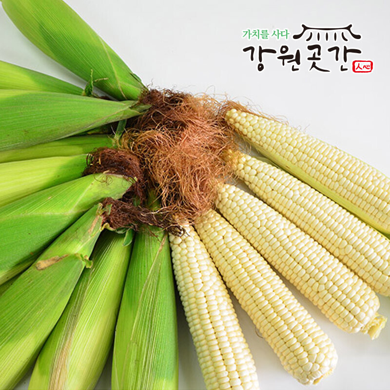 [영월] 강원도 영월 생 미백 찰옥수수 20개입 - 강원곳간.com
