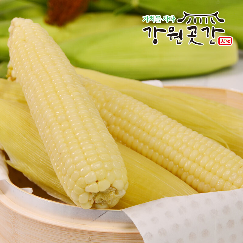[영월] 강원도 영월 생 미백 찰옥수수 20개입 - 강원곳간.com